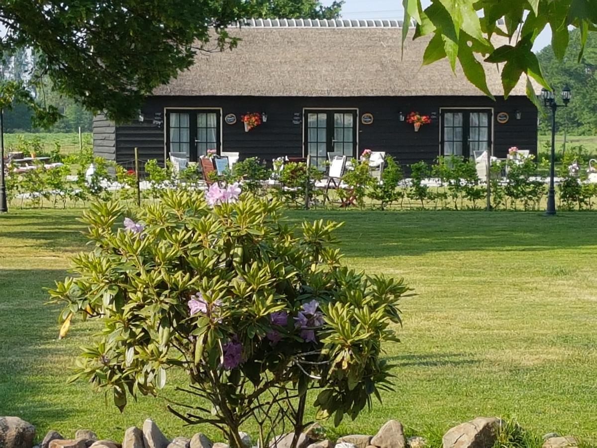 Gasterij Liedorp Bed and Breakfast Lierop Esterno foto